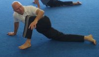 Movement Pro Videos